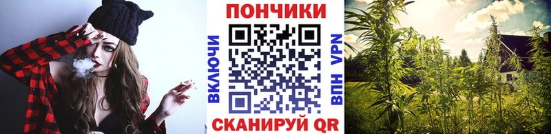 Продажа наркотиков Луга COCAIN  Гашиш  Марихуана 