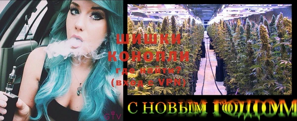 сатива Касимов