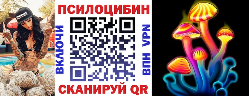 гидра ссылка  Луга  Псилоцибиновые грибы Cubensis  наркота 